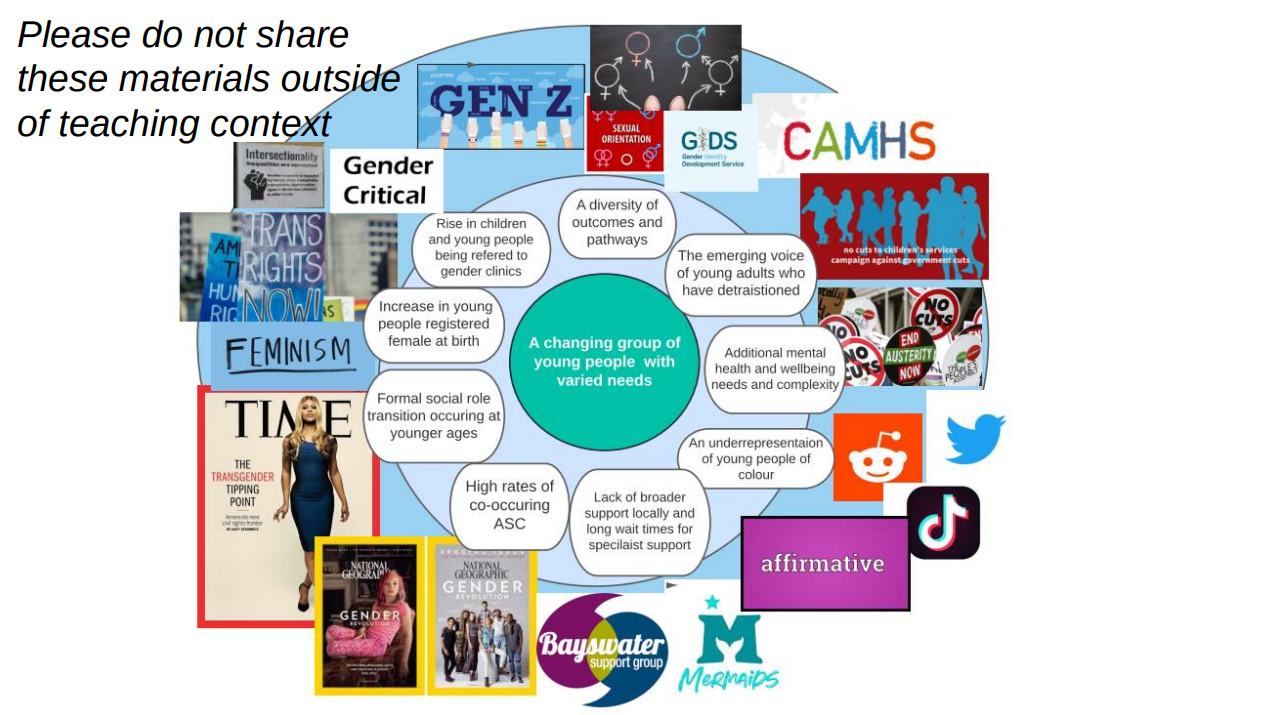 Image of concentric circles. in the centre is “A changing group of young people with varied needs”, with the circle around containing speech bubbles such as “A diversity of outcomes and pathways”, “high rates of co-occurring ASC [Austistic Spectrum Conditions]”, “An underrepresentation of young people of colour”, “The emerging voice of young adults who have detransitioned”.