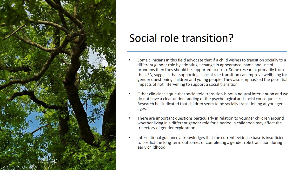 Social Role transition? slide deck panel