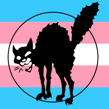 A black wildcat logo over a trans pride flag background
